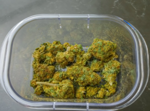 Dry Herb Vape